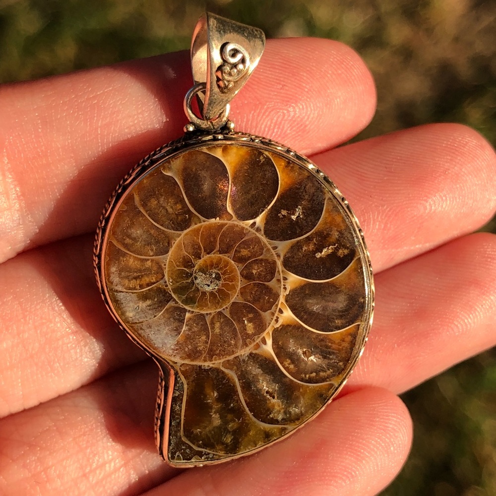 Large Nautilus Ammonite Pendant in Sterling Silver